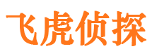 道孚市侦探调查公司